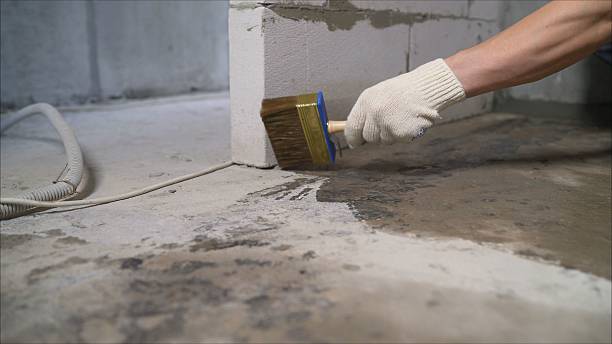 24/7 Emergency Crawl Space Encapsulation experts in Ludlow Falls, OH